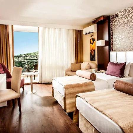 توسان بيتش - شامل كليًا